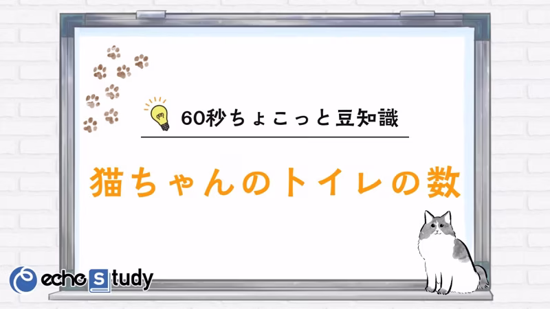 【60秒ちょこっと豆知識】猫ちゃんのトイレの数